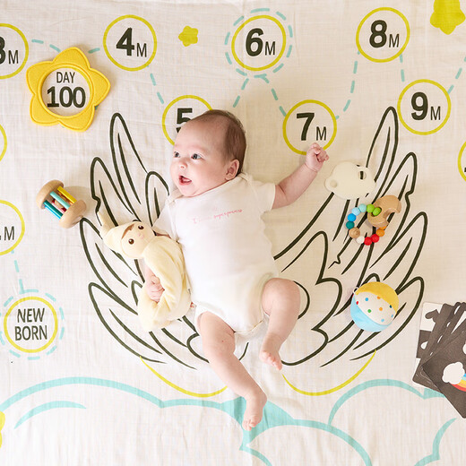 Hape newborn soothing gift box punch blanket hand rattle gripping teether touch ball toy 35610 children's gift newborn gift box set 0-12M