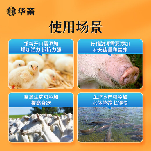 Hua livestock Hua livestock amino acid multi-dimensional glucose powder livestock, poultry, pigs, cattle and sheep anti-stress breeding chicken, duck and goose feed additive 5 bags more discount than buying individually multi-dimensional glucose