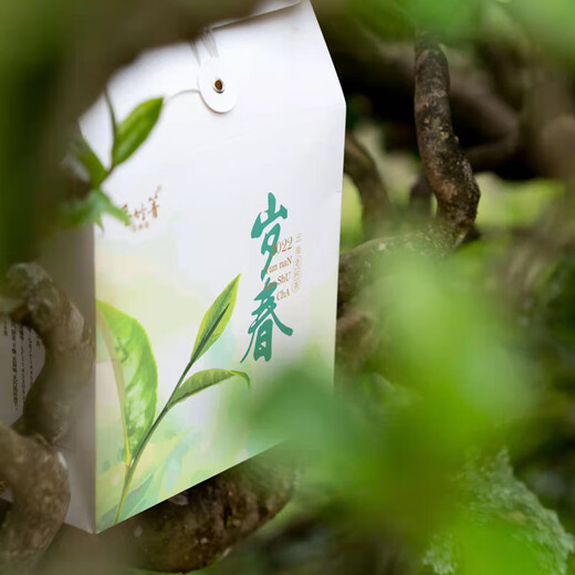 Xiangzhuqing 2022 Suichun 188g Yunnan high altitude first spring loose tea Pu'er sun-dried green boxed ration tea Xiangzhuqing Suichun sun-dried green tea 188g/box
