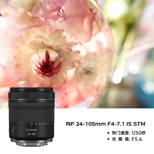 Canon r5 professional mirrorless camera, bird shooting equipment, digital camera, eos r5 full frame Vlog camera, 8K video shooting, place an order for Labubu & Jindou, R5 body disassembly + RF 24-105 STM lens disassembly, Package 2, upgraded original shoulder bag + customized photography backpack with high capacity backup battery