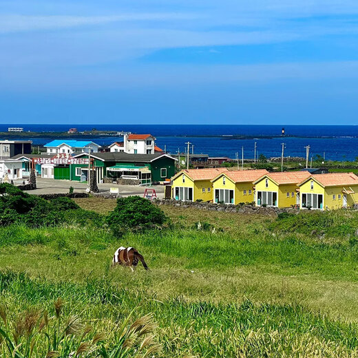 South Korea Travel | Ningbo, Hangzhou, Shanghai, Beijing, Fuzhou, Jiangxi Departure including round-trip air tickets | 4 days and 3 nights in Jeju Island, South Korea, quality group tour for family, parent-child and couple | Single package 4 days and 3 nights single package from Beijing