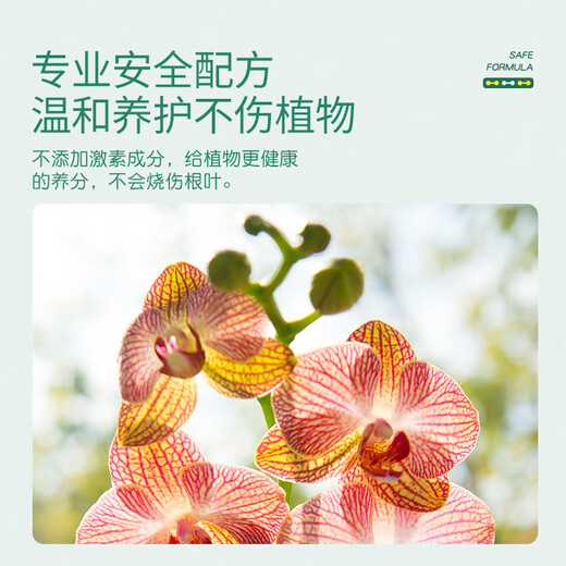 Stanley dilution-free nutrient solution for plants, general-purpose money tree, rich bamboo, flower and green plant fertilizer, special flower fertilizer 250ml