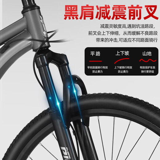 FG FLYING PIGEON bicycle, big children's 21-speed mountain bike, youth shock-absorbing bicycle, student bicycle 26 inches gray