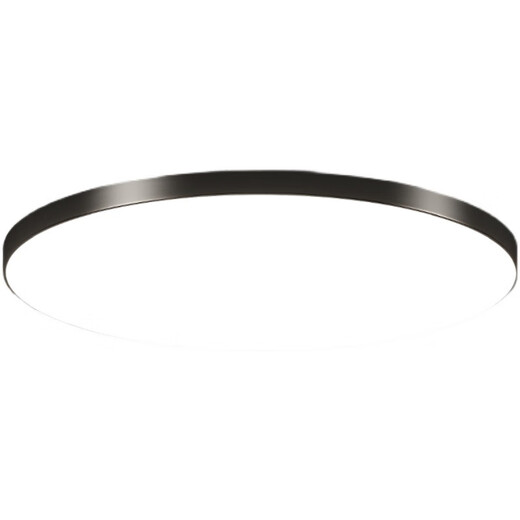 妙普乐室外吸顶灯防蚊虫户外吸顶灯防水防虫庭院屋檐别墅入户大门明 24W白光 25+cm白边框