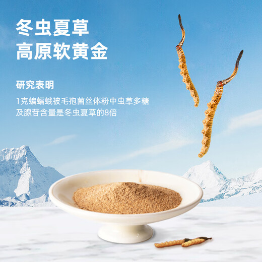 Kaution Huadong Medizin Kaution Cordyceps sinensis Tee, Pilzpulver verstärkt Immunität, Gesundheits -Tee, Nieren- und Lungengesundheits -Tee -Getränke 6 Kisten [Februar -Set, Zykluskonsolidierung]