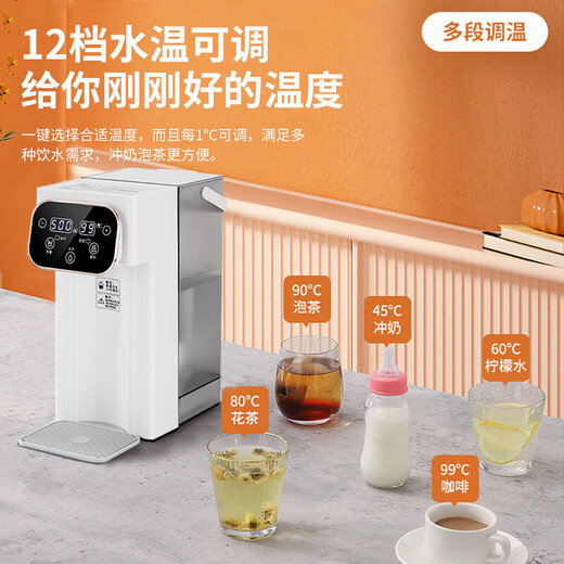 Good Lady of Taste Life British Good Lady Desktop Instant Hot Water Dispenser Filter Water Purifier Household Pure Drinking Machine Heating All-in-One Desktop Instant Hot Water Dispenser Small Mini Quick-heat Portable Dual Display 3 Liter Green Anti-bacterial + Mineral Filter + Stand Instant Heat Type