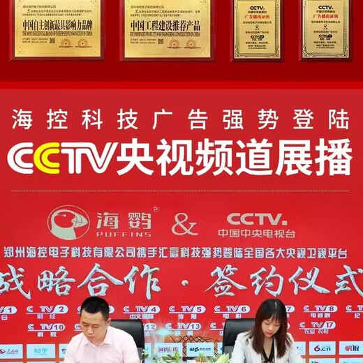 Puffin remote control switch wireless remote control timer switch timer water pump remote control remote control switch 220V 3km-220V timer off