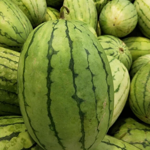 Jingyu's new product 2K small watermelon seeds, thin skin, few seeds, red flesh watermelon potted balcony fruit seeds, high yield, sown in all seasons, juicy and sweet, 2K watermelon, 10 pieces, original selection, 2 packs