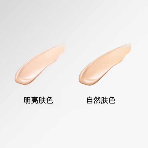 Shiseido Perfect Concealer Bright 35g Oil Control Moisturizing BB Cream Cosmetic Primer Foundation Birthday Gift for Men and Women