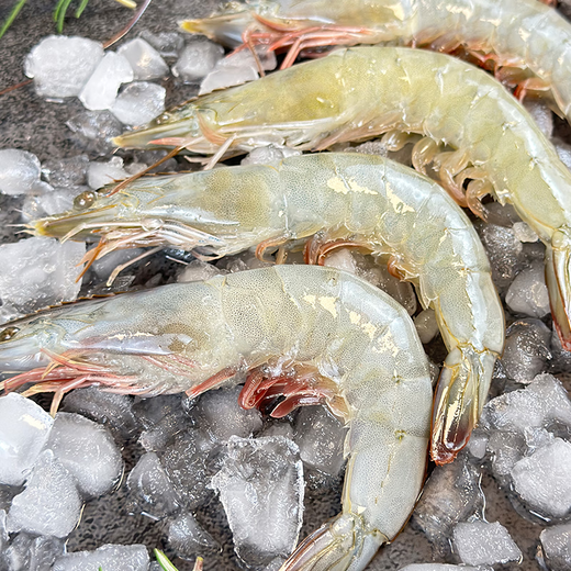Jingdong Supermarket directly sourced Ecuadorian white shrimp from overseas, salted and frozen, net weight 4Jin Jin is equal to 0.5kg, 60-80 pieces/box, self-operated hot pot ingredients