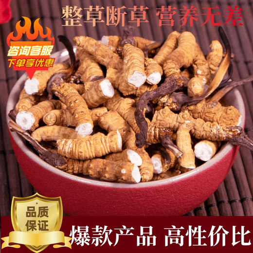 【处理断草】断草冬虫夏草大断草正宗藏区断虫草断草正品干货自食 西藏那曲高海拔整肉节50克送5克
