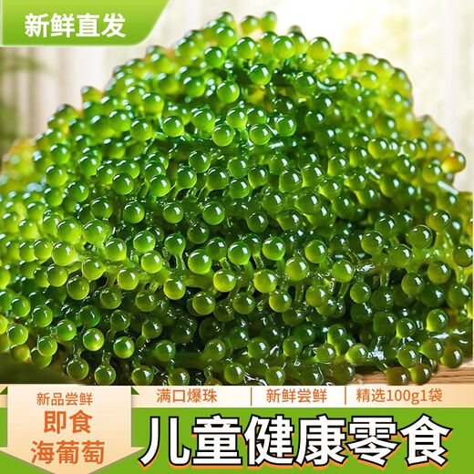 盐渍海葡萄泡发食用 儿童海藻菜海洋蔬菜海草 海葡萄100g*10袋【送芥末酱油】