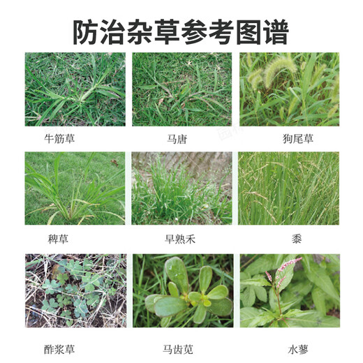 Guoguang Yanhua 65% Amfluralin seedlings, hedges, flowers, lawns, weeds, soil sealants, pesticides and herbicides