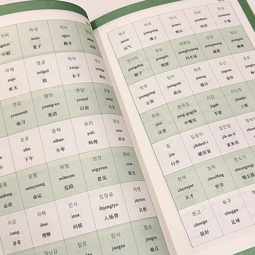 零基础学韩语入门自学教材韩语单词语法书零起点标准韩国语入门学习资料发音词汇语法句子会话基础入门日常生活用语朝鲜语韩文书籍 语韩文书籍