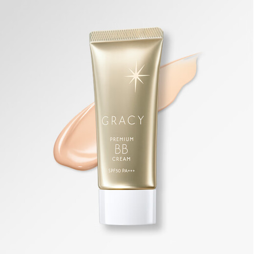 Shiseido Perfect Concealer Bright 35g Oil Control Moisturizing BB Cream Cosmetic Primer Foundation Birthday Gift for Men and Women