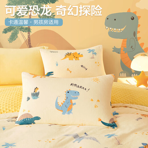 Beyond Kids Winter Warm Velvet Four-piece Set Princess Style Cute Student Coral Velvet Winter Double-sided Thickened Sheet Quilt Cover Type A Flannel + Beanie Velvet Dinosaur Baby 1.5 Sheet Style (Duvet Cover 200*230cm) Four-piece Set