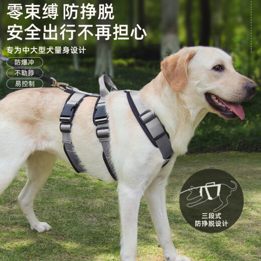 LOVINGPET dog harness for going out, medium and large dog harness, dog pet harness, golden retriever Labrador harness, anti-breakaway gray S recommended 20-40Jin [Jin equals 0.5kg] polyester