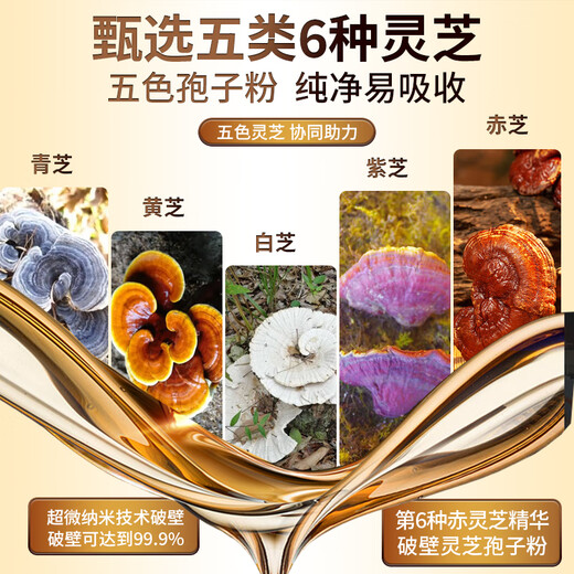Ludsi de la pared de ruptura de cinco colores ganoderma lucidum cápsulas de polvo de esporas que tonifican productos nutricionales para personas de mediana edad y ancianos para mejorar la inmunidad y las visitas postoperatorias