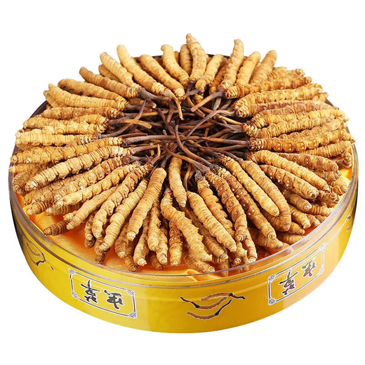 Beijing Tongrentang Quality Cordyceps Lhasa Shipping Authentic Cordyceps Gift Box Pack Broken Cordyceps Dry Garlic Gift Gift Boxes Gifts to Leader Optional Gift Box 30g Selected Big Broken Cordyceps [Preferred to soak in wine]