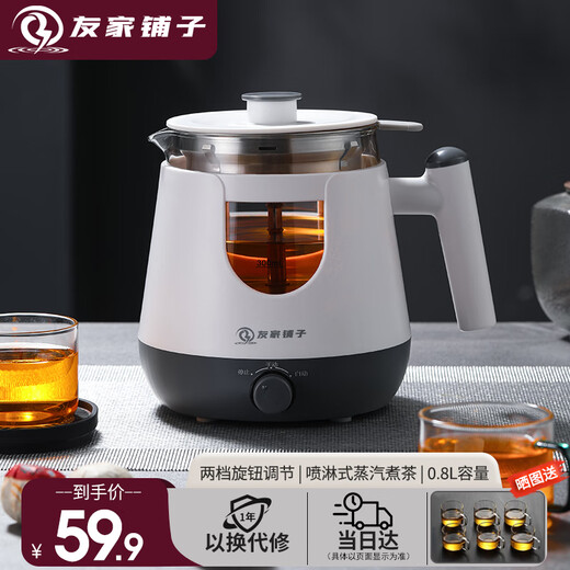 Biooner tea kettle, spray type tea kettle, steam type black tea kettle, office home kettle, mini health pot flower tea kettle, white (basic model) 0.8L