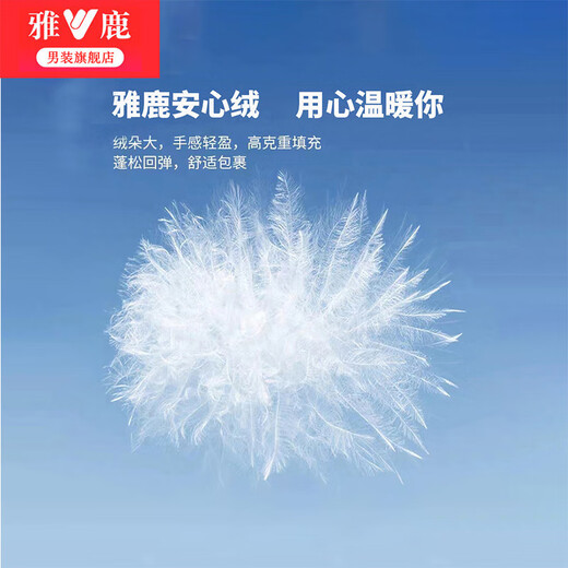 雅鹿情侣款羽绒服男冬季时尚工装毛领加厚派克服保暖上衣外套男装 YU807V12190橘色 170/M【120-140斤】
