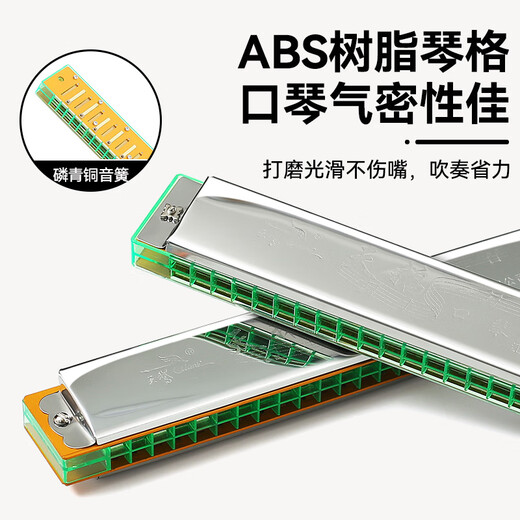 天鹅口琴初学者入门24孔复音C调小学生专用儿童成人专业重音正品 24孔【初学】蓝色C调复音+礼