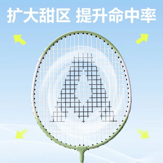 得力（deli）羽毛球拍套装初学者入门级成人专业耐打羽毛拍女生合金超轻正品 尊贵专业级 贈尼龙球3个