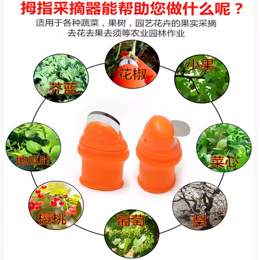 Dedong pepper-picking artifact gloves for picking vegetables, tea leaves, cherry vegetables, nail tips, picking finger scissors, fruit and vegetable thumb knife, women's model, 1 thumb knife + 5 finger cots