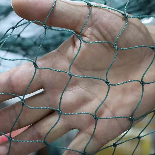 Yujiacheng weighted and thickened fishing net fishing net partition net seine net clear pond fish net drag fish net scraper fish net 2 finger eye clinker 9 strands of line 2 meters high and 20 meters long suitable for water depths below 70 cm