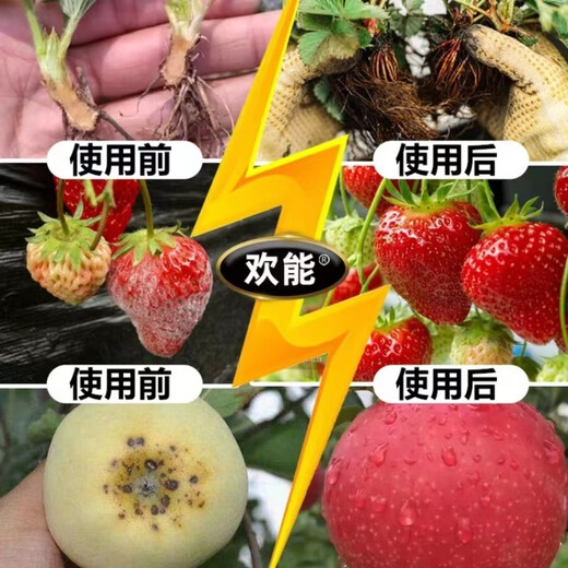 Huaneng calcium, magnesium, iron, zinc, boron, medium and trace elements, foliar fertilizer, water-soluble fertilizer, rooting and seedling fertilization, spraying for fruit trees and vegetables