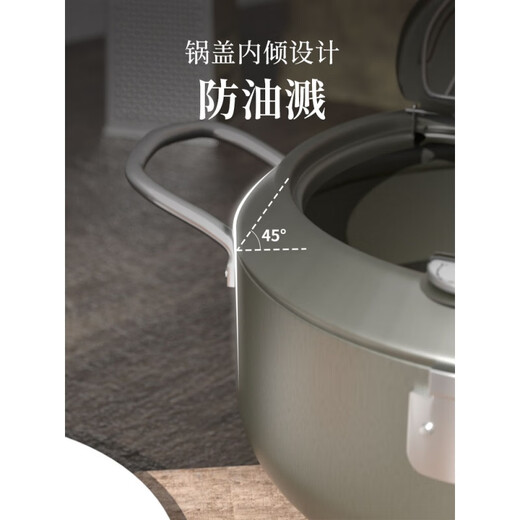 Molosun Japanese-style frying pan household small mini deep temperature control gas gas fuel-saving Japanese small frying pan moonlight silver flip cover 20cm