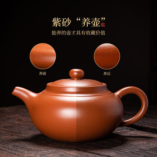Qixuanyuan Zhuni Zisha teapot Kungfu tea set home office Xishi pot guest teapot raw ore single pot large capacity
