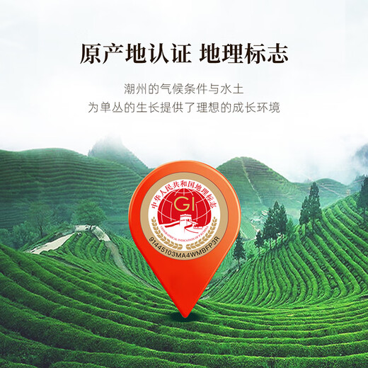 Qichun Phoenix Dantong Tea Milan Xiang Dancong Oolong Tea enlatado 500g té para usted. Se lo doy a los ancianos durante las vacaciones