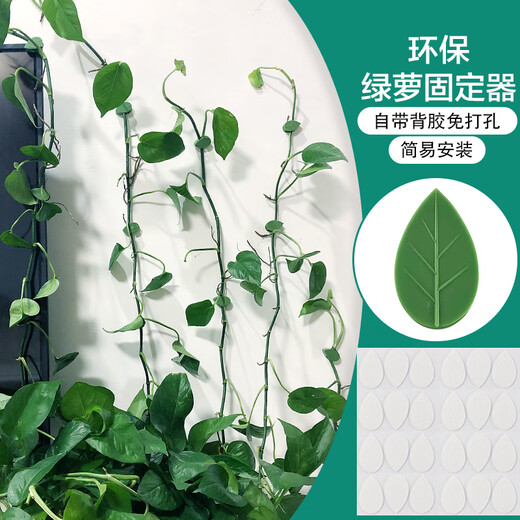 Green garden craftsman green dill climbing wall fixed artifact green plant vine man plant nail-free wall-mounted self-adhesive hook climbing clip 24 pieces