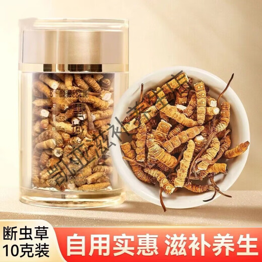 Beijing Tongrentang authentic Cordyceps 10 gift boxes in 2024 first Tibetan Cordyceps Cordyceps Selected 10 grams of big broken grass [Excellent value for your own use]