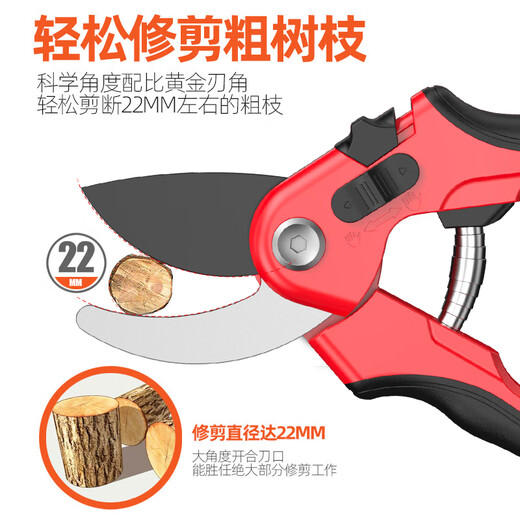 Prund pruning scissors, fruit tree scissors, gardening scissors, potting scissors, flower tools, garden green plant scissors, floral manual scissors, 8-inch SK5 steel pruning shears, non-slip handle