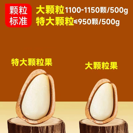 林谷森园东北开口松子特大颗粒净重500克坚果零食手剥东北红松子办公 1050颗粒/斤 大果