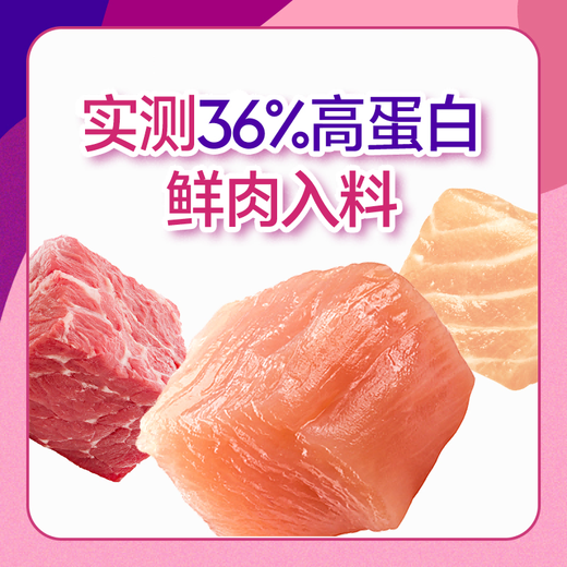 Solid Gold 24/10 Solid Gold/fresh meat classic full price cat food 12 pounds 5.4