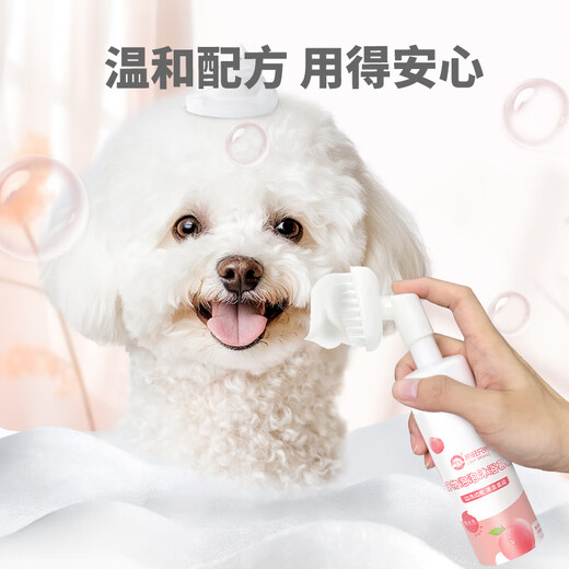 L&W BROS. Pet Comb Teddy Bear Cat Facial Cleansing Mousse Comb Bath-Free Foam Cat Hair Comb Supplies