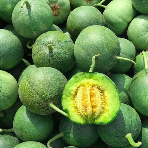 Ice Jade Melon Seeds Super Sweet Thin Skin Emerald Cantaloupe Spring and Autumn Early Ripening Four Seasons Balcony Fruit Seeds Ice Jade Emerald Melon Seeds Song Fertilizer Original New Seeds 2 Packs About 190 Capsules