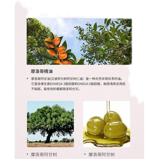 Shanzan Moroccan Moisturizing Curl Elastin Plumping Essential Oil Spring Cream Curly Hair 3 bottles