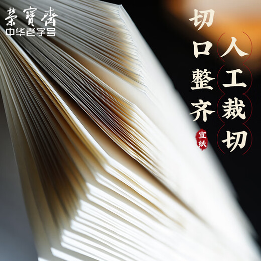 Lowest price on the whole network Rongbaozhai calligraphy and painting paper rice paper student Xuan Shu French painting special brush beginner practice creation four feet in single for students entry Sheng Xuan - four feet in four open 100 sheets