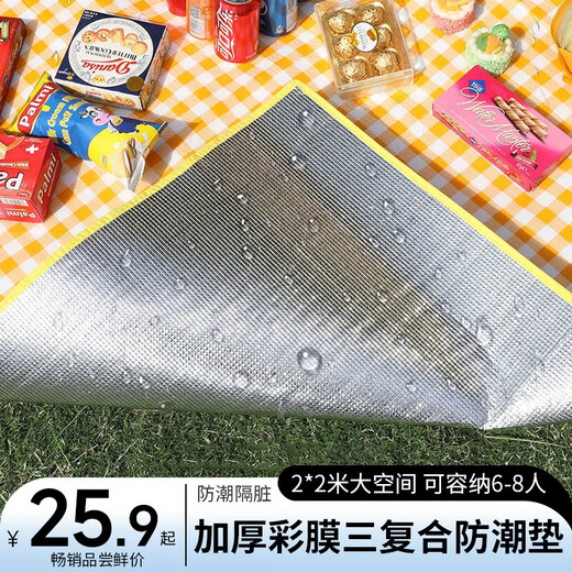 Muhuo moisture-proof mat, beach mat, waterproof and moisture-proof tent mat, thickened camping mat, aluminum film crawling mat, large size