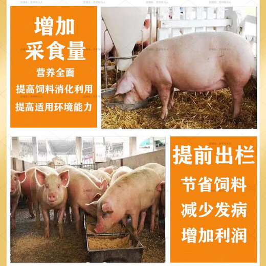 Pig premix, fat pig premix, small, medium and large pig feed premix, factory direct sales compound premix for pigs, 4 types of boar special