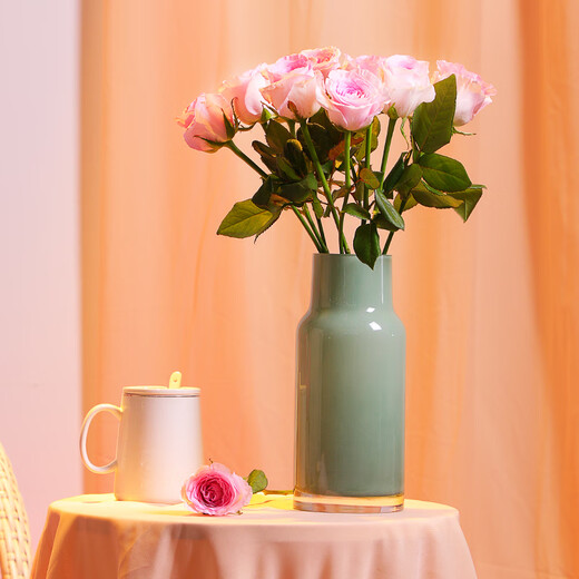 Full of fairy spirit, 10 Roselle roses