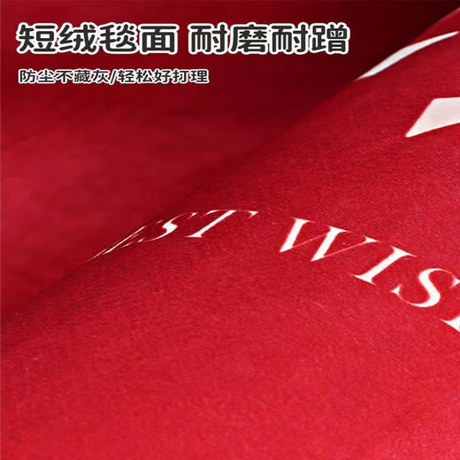 Shansui Fuman New Home Entrance Floor Mat Entry Floor Mat Moving New House Entrance Door Festive Red Carpet Mat Fumanju/Vertical Version 90*120cm