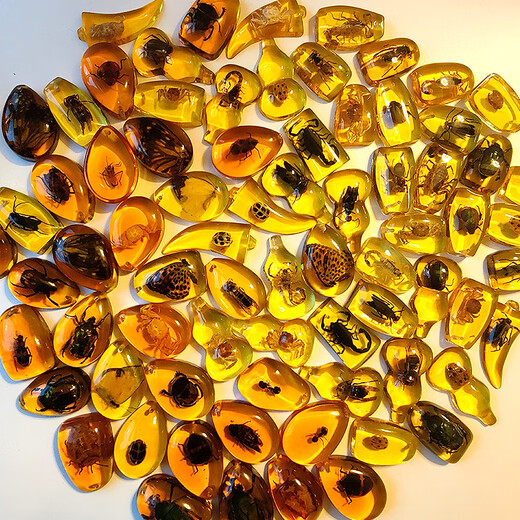 DR-FLVVS Fat Donglai quality insect amber specimen pendant made of blind box resin glue ornaments for primary school students and children's textbook teaching a transparent scorpion