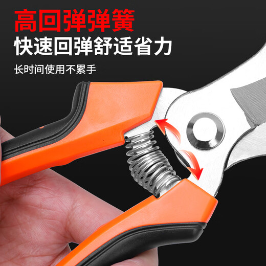 Dedong special garlic scissors for cutting garlic, garlic scissors, garlic scissors, cutting garlic roots, trimming garlic stems, onion segments, onion scissors, special knife for household use, straight-blade garlic scissors