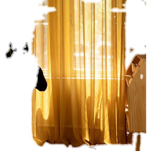 Wen Yijiamu Tangsha new orange gauze curtain balcony living room bay window dream curtain high-end light and impermeable pine green width 4.0*height 2.7 hook 1 piece free