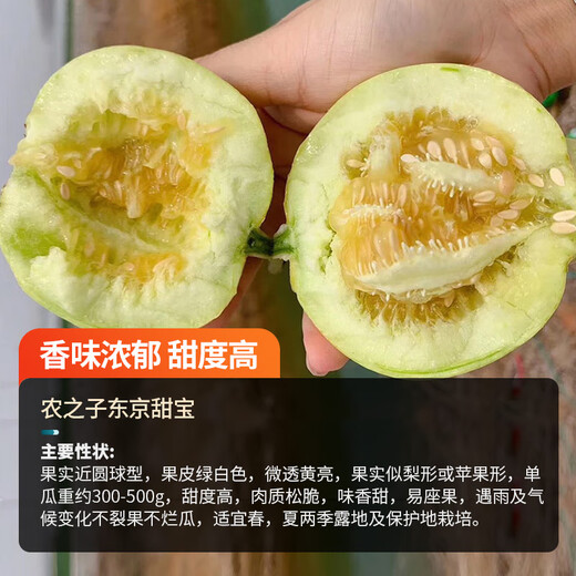 Nongzhi R Ben Tianbao melon seeds honeydew melon Nongzhi Fuji Tianbao melon seeds 2g with high sweetness